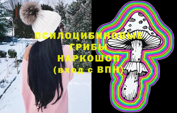 PSILOCYBIN Алексеевка