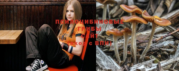 крисы Алзамай